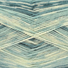 Load image into Gallery viewer, King Cole Norse 4ply 100g