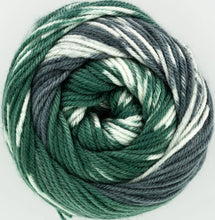 Load image into Gallery viewer, King Cole Fjord DK 100g