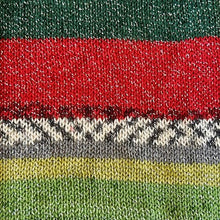 Load image into Gallery viewer, Stylecraft Head over Heels Festive 4ply 100g