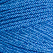 Load image into Gallery viewer, Stylecraft Special DK 100g