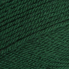 Load image into Gallery viewer, Stylecraft Special DK 100g