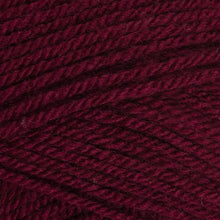 Load image into Gallery viewer, Stylecraft Special DK 100g