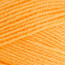 Load image into Gallery viewer, Stylecraft Special DK 100g