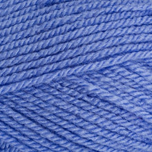 Load image into Gallery viewer, Stylecraft Special DK 100g