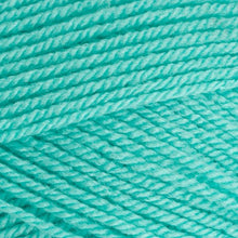 Load image into Gallery viewer, Stylecraft Special DK 100g