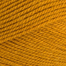 Load image into Gallery viewer, Stylecraft Special DK 100g