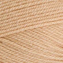 Load image into Gallery viewer, Stylecraft Special DK 100g