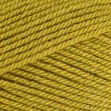 Load image into Gallery viewer, Stylecraft Special DK 100g