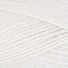 Load image into Gallery viewer, Stylecraft Special DK 100g