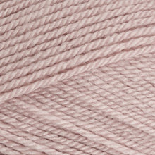 Load image into Gallery viewer, Stylecraft Special DK 100g