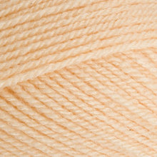 Load image into Gallery viewer, Stylecraft Special DK 100g