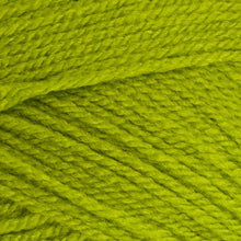 Load image into Gallery viewer, Stylecraft Special DK 100g