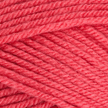 Load image into Gallery viewer, Stylecraft Special Aran 100g
