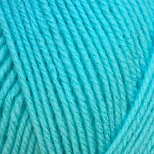 Load image into Gallery viewer, Stylecraft Special DK 100g 2025 Additions