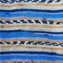 Load image into Gallery viewer, Stylecraft Head over Heels Australia 4ply 100g