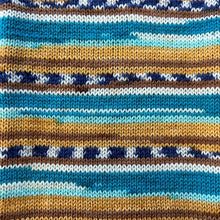 Load image into Gallery viewer, Stylecraft Head over Heels Australia 4ply 100g