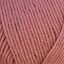 Load image into Gallery viewer, Stylecraft Special DK 100g 2025 Additions