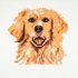 Load image into Gallery viewer, Trimits Counted Cross Stitch Kit: Mini: Golden Retriever