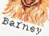 Load image into Gallery viewer, Trimits Counted Cross Stitch Kit: Mini: Golden Retriever