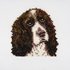 Load image into Gallery viewer, Trimits Cross Stitch Kit: Springer Spaniel