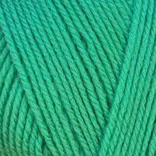 Load image into Gallery viewer, Stylecraft Special DK 100g 2025 Additions
