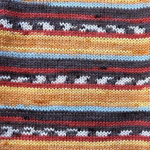 Load image into Gallery viewer, Stylecraft Head over Heels Australia 4ply 100g