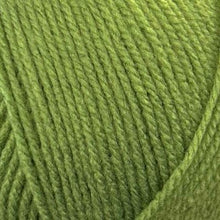 Load image into Gallery viewer, Stylecraft Special DK 100g 2025 Additions