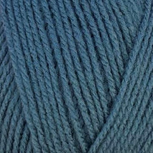 Load image into Gallery viewer, Stylecraft Special DK 100g 2025 Additions
