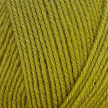 Load image into Gallery viewer, Stylecraft Special DK 100g 2025 Additions