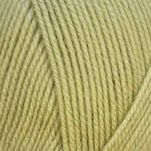 Load image into Gallery viewer, Stylecraft Special DK 100g 2025 Additions