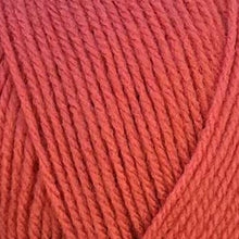 Load image into Gallery viewer, Stylecraft Special DK 100g 2025 Additions