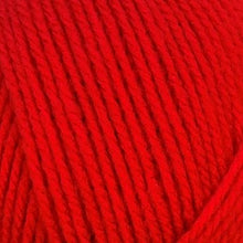 Load image into Gallery viewer, Stylecraft Special DK 100g 2025 Additions