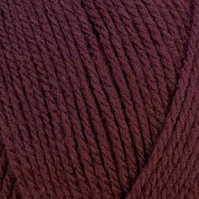 Load image into Gallery viewer, Stylecraft Special DK 100g 2025 Additions