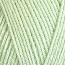 Load image into Gallery viewer, Stylecraft Special DK 100g 2025 Additions