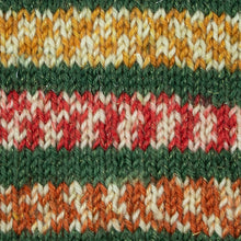 Load image into Gallery viewer, WYS Signature 4ply Christmas Range