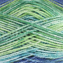 Load image into Gallery viewer, King Cole Hedgerow 200g