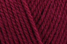 Load image into Gallery viewer, Stylecraft Special DK 100g 2025 Additions