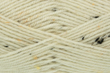 Load image into Gallery viewer, King Cole Fashion Aran 100g