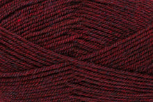 Load image into Gallery viewer, King Cole Fashion Aran 100g