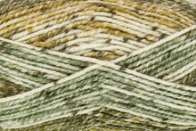 Load image into Gallery viewer, King Cole Drifter Aran 100g