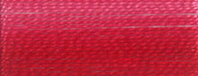 Load image into Gallery viewer, DMC Embroidery Thread 117MC Stranded Cotton 1-299