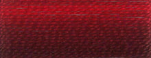 Load image into Gallery viewer, DMC Embroidery Thread 117MC Stranded Cotton 1-299