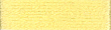 Load image into Gallery viewer, DMC Embroidery Thread 117MC Stranded Cotton 975 - 3795