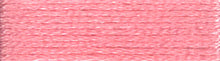 Load image into Gallery viewer, DMC Embroidery Thread 117MC Stranded Cotton 975 - 3795