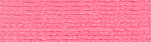 Load image into Gallery viewer, DMC Embroidery Thread 117MC Stranded Cotton 975 - 3795