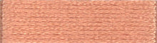 Load image into Gallery viewer, DMC Embroidery Thread 117MC Stranded Cotton 975 - 3795