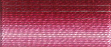 Load image into Gallery viewer, DMC Embroidery Thread 117MC Stranded Cotton 1-299