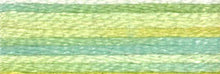 Load image into Gallery viewer, DMC Embroidery Thread 417F Colour Variations