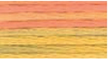 Load image into Gallery viewer, DMC Embroidery Thread 417F Colour Variations