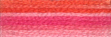 Load image into Gallery viewer, DMC Embroidery Thread 417F Colour Variations